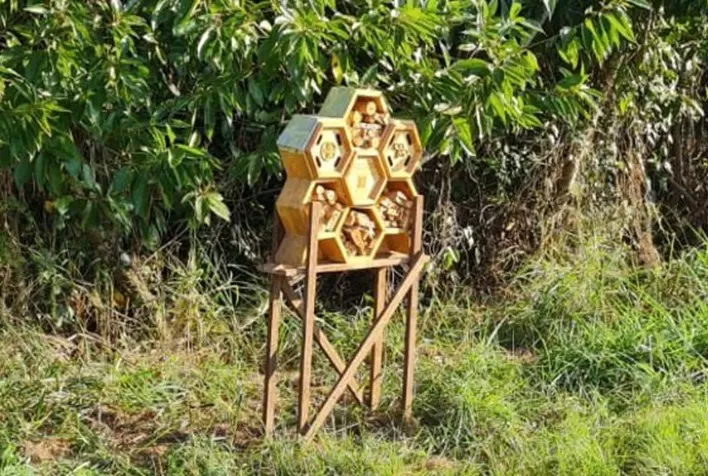 Frutas Katira Adota Hotel de Abelhas e Se Consolida como Referência em Sustentabilidade no Campo