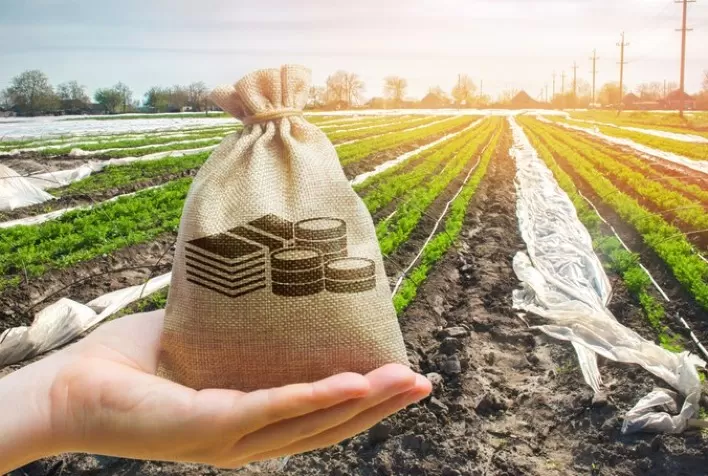 As Mudanças Climáticas e Seu Impacto no Crédito Agropecuário