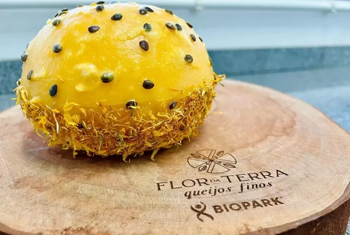 Projeto Incentiva Pequenos Produtores de Leite e Inscreve Queijos Autorais no World Cheese Awards