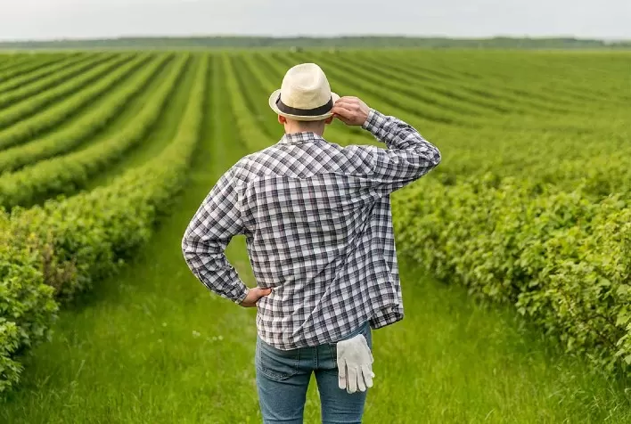 Reforma Tributária e os Impactos para o Produtor Rural: Atenção aos Novos Requisitos Fiscais