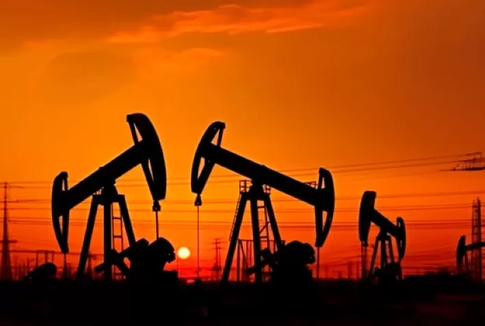 Saiba o que está por trás da decisão da OPEP+ de adiar o aumento da sua produção de petróleo