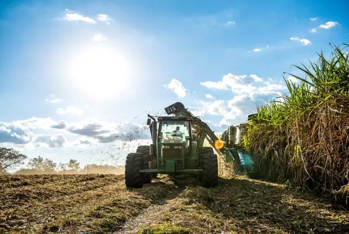 Avanço da Safra de Cana-de-Açúcar em Minas Gerais Alcança Quase 70 Milhões de Toneladas