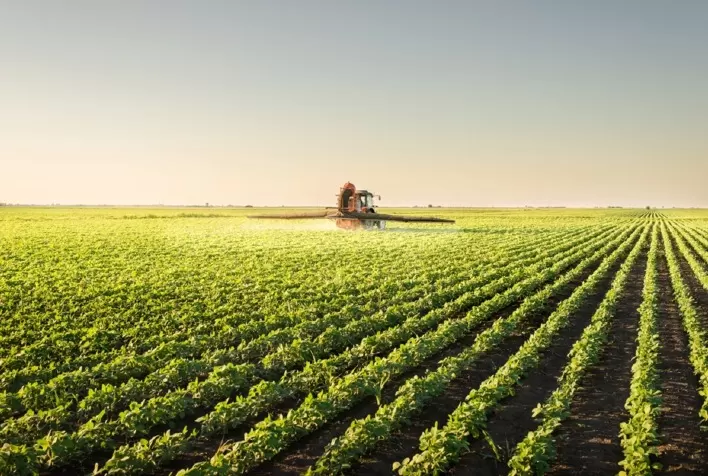 Uso de Defensivos Agrícolas Aumenta 10,9% no Brasil em 2024
