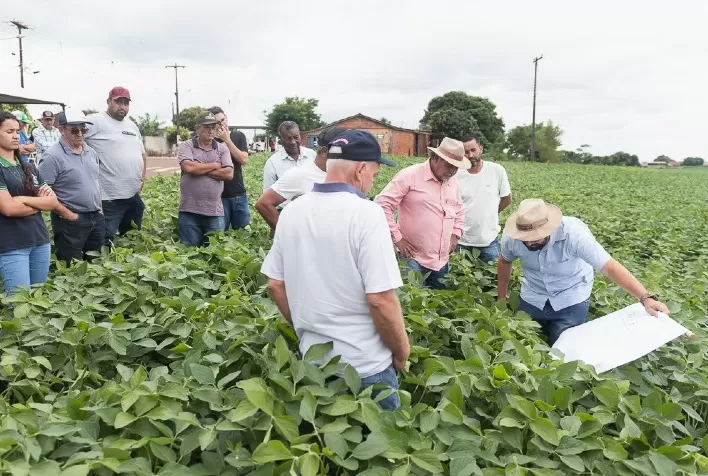 Giro Técnico na Soja 2024 promove boas práticas agrícolas no Paraná