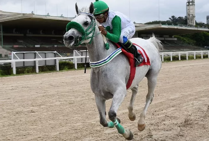 Allure BV Conquista Vitória Imponente no Prêmio UAE President Cup For Colts & Fillies VII