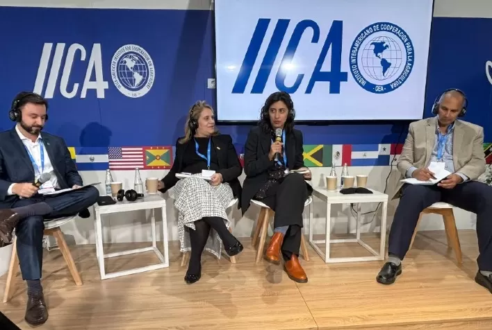 COP29: Pecuária Brasileira Avança na Reciclagem de Resíduos da Agricultura, afirma Diretora da JBS
