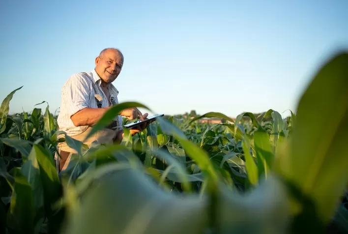 Nova Legislação do Agronegócio Impulsiona Pequenos e Médios Produtores com Benefícios Financeiros