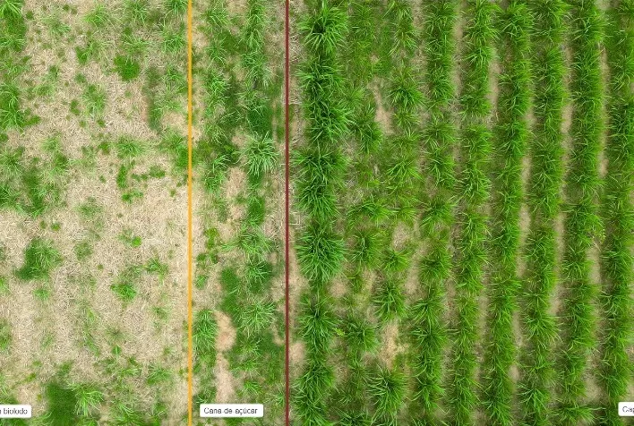 Biolodo impulsiona produtividade em propriedades rurais de Cuiabá