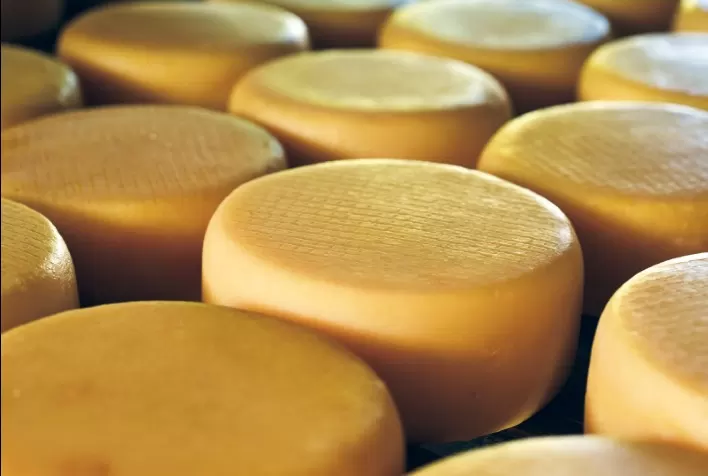Queijo Minas Artesanal: Candidatura à Unesco Destaca Valorização e Reconhecimento Global