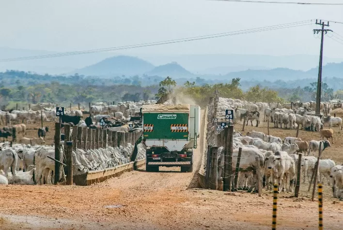 Casale projeta expansão com foco no setor leiteiro