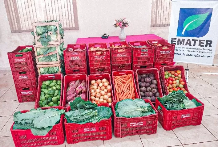 Produtores do PAA Goiás iniciam entregas de alimentos para famílias em situação de vulnerabilidade