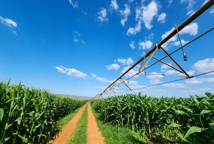 Irrigação: Planejamento é Essencial para Maximizar a Produção