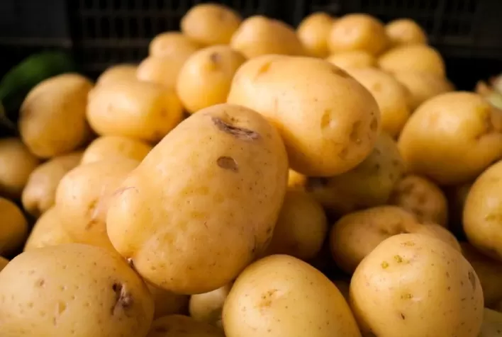 Oferta Nacional em Alta Pressiona Preços da Batata no Rio Grande do Sul