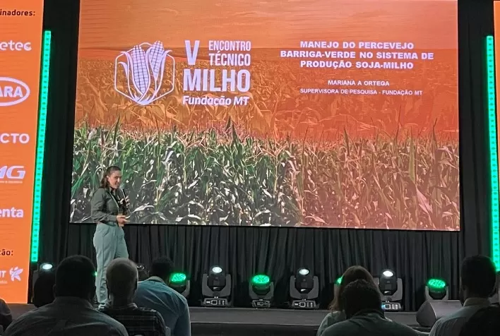 Combate ao percevejo barriga-verde: estratégias começam nas lavouras de soja