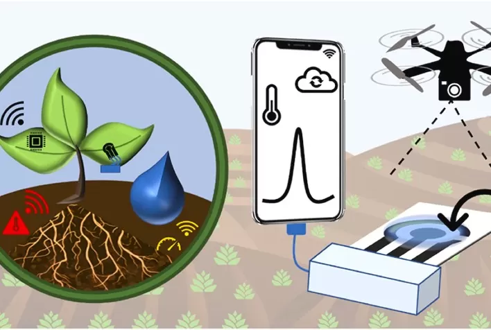 IoT e Sensores Eletroquímicos Revolucionam o Agro com Sustentabilidade e Monitoramento em Tempo Real