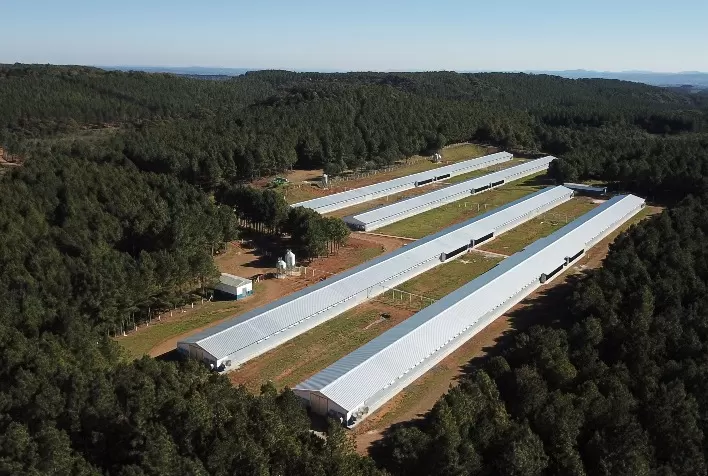 Aviagen América Latina Expande Operações no Brasil com Aquisição de Granja em Santa Catarina