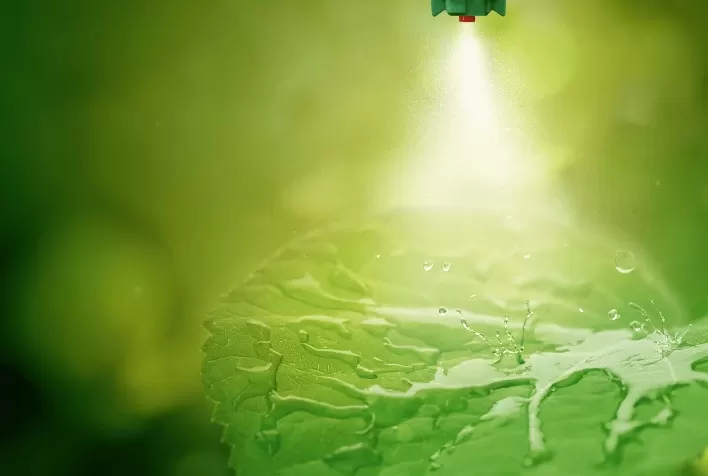 Ranchero: Novo Adjuvante Biodegradável para o Setor Agrícola Brasileiro