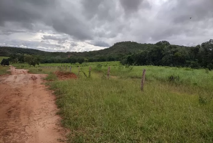 Brasil possui 74 milhões de hectares de vegetação nativa preservada além do exigido por lei