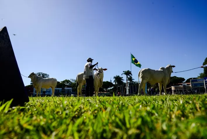 Regulamento Completo da 90ª ExpoZebu é Publicado pela ABCZ