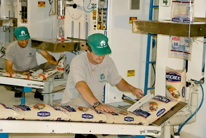Reforma Tributária representa desafio para a indústria do arroz