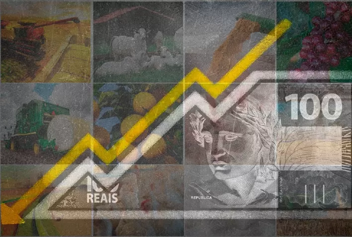 Crédito Rural: Desembolso do Plano Safra sofre queda de quase 24%