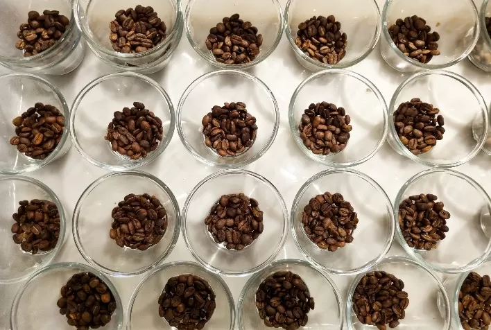 Emater-MG Anuncia os Vencedores do Concurso de Qualidade dos Melhores Cafés Mineiros de 2024