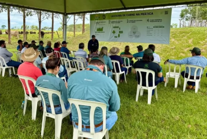 Cocamar Promove Dia de Campo em Iporã e Destaca o Potencial da ILPF para a Região