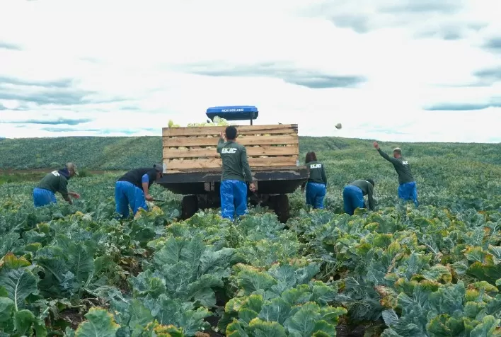 Grano Alimentos Fortalece a Agricultura Familiar com Parcerias Sustentáveis e Suporte Técnico