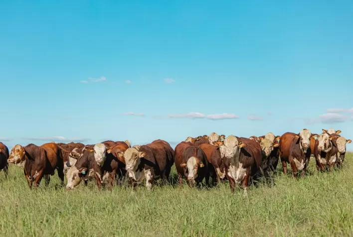 ABHB Abre Inscrições para a Prova de Eficiência Alimentar 2025