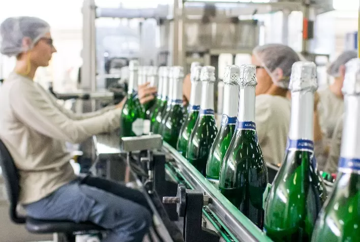 Vinícola Aurora Registra Crescimento de 20% nas Vendas de Espumantes e Consolida Liderança no Mercado