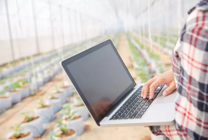 Santa Catarina Cria Grupos de Trabalho para Impulsionar Inovação e Conectividade no Agronegócio