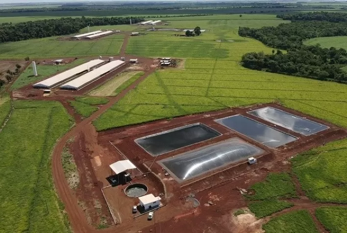 Santa Catarina Planeja Ampliar Conversão de Dejetos Suínos em Biogás e Energia até 2025