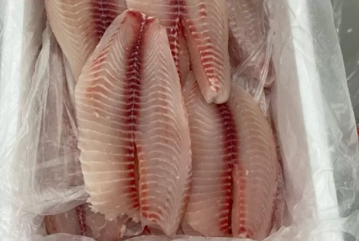 Fider Pescados realiza primeiro embarque de filé fresco de tilápia para os EUA sem Certificação Sanitária