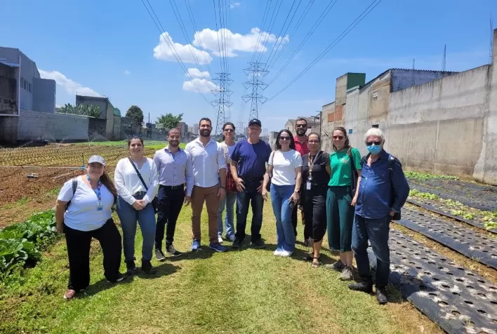 Projeto Hortas em Rede: Transformação Social e Sustentabilidade na Agricultura Urbana