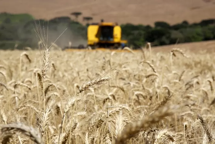 Adesão Obrigatória à Nota Fiscal Eletrônica do Produtor Rural é Prorrogada para Fevereiro