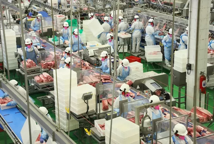 Crescimento da Agroindústria em Outubro de 2024 Impulsiona Expansão de 2,7% no Ano
