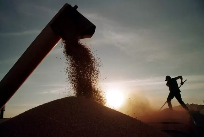 Safra de Soja 2024/25: Expectativa de Recorde Reforça a Importância das Estratégias de Proteção no Agro Brasileiro