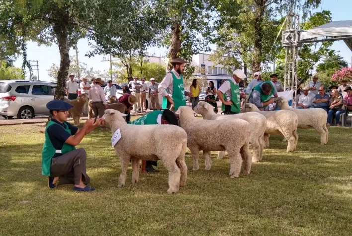 Feiras de Verão da Ovinocultura Agitam a Região Sul do Rio Grande do Sul em Janeiro e Fevereiro de 2025