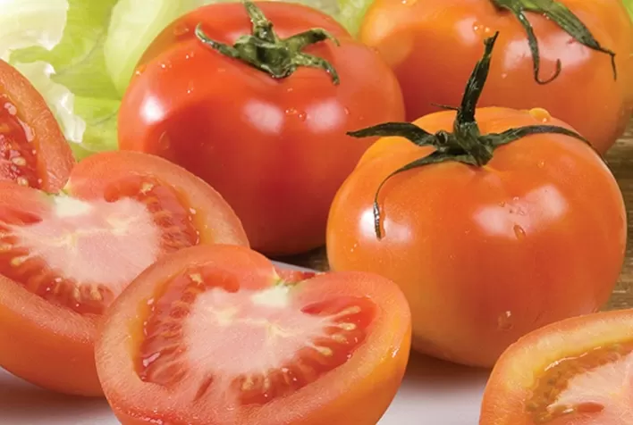 Preço do tomate longa vida no Rio Grande do Sul sofre queda de 30%