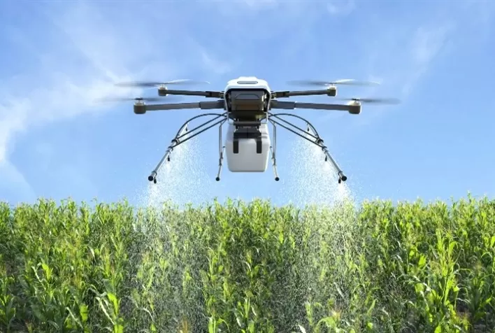 Avanço no Desenvolvimento de Milho Resistente à Seca Utiliza Drones para Acelerar Seleção Genética