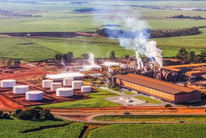 Jalles encerra safra 2024/25 com aumento de 7,1% na moagem e recordes de produção