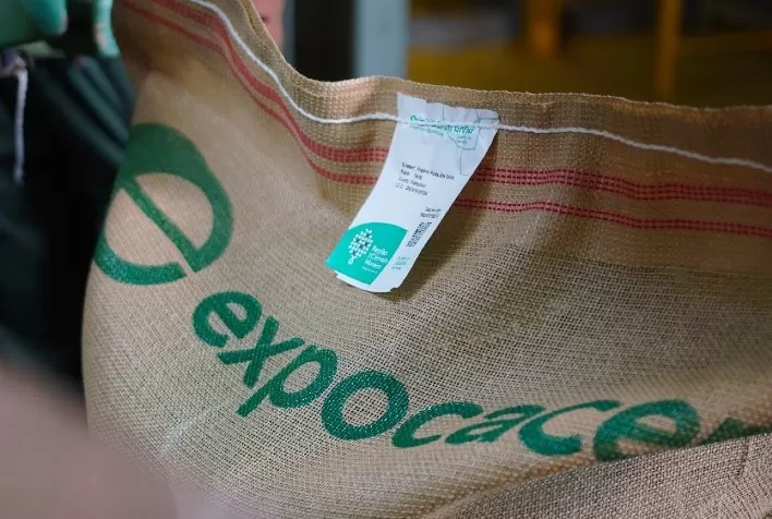 Expocacer Alcança Recorde Histórico com Crescimento de 41% nas Exportações de Café