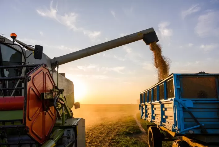 Goiás Registra Recordes no Agronegócio em 2024 e Reafirma sua Liderança Nacional e Internacional