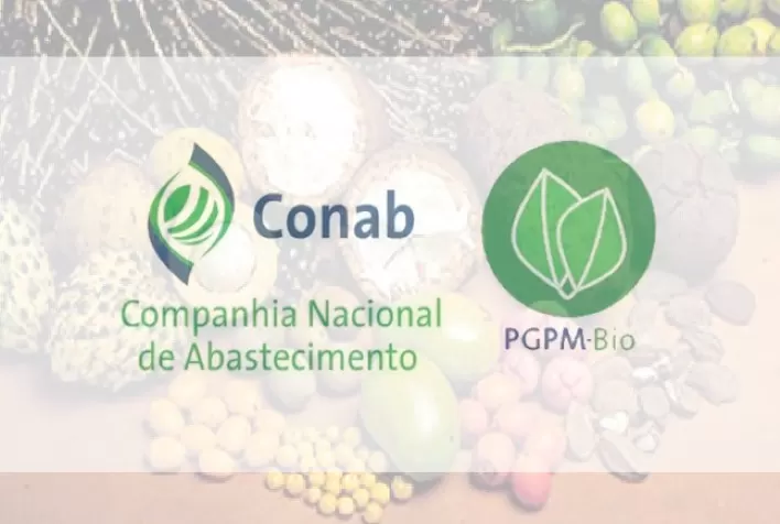 Conab Atualiza Sistema para Submissão de Pedidos de Subvenção de Produtos Extrativos