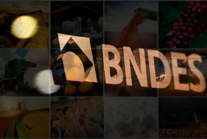 BNDES Destina R$ 52,3 Bilhões para o Agro em 2024, Aumento de 26% em Relação ao Ano Anterior