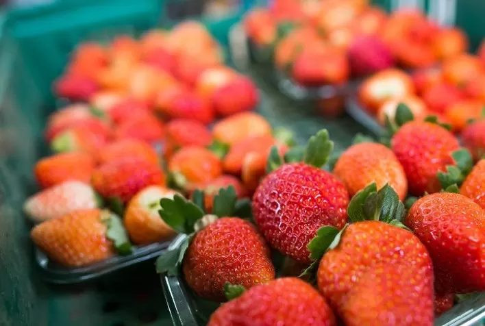 Revestimento Comestível Dobra Vida Útil do Morango e Reduz Desperdício