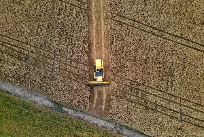 Projeção de Crescimento da Produção Agrícola no Paraná em 2025: Destaque entre os Estados do Sul e Sudeste