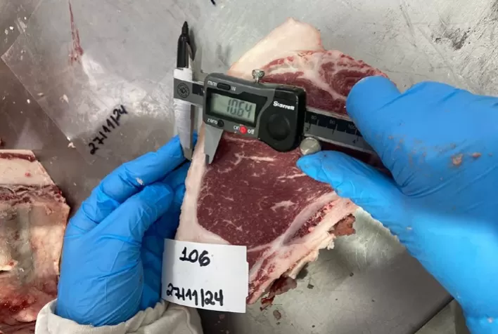 Pesquisa Inovadora Utiliza Tecnologia de Ponta para Determinar a “Impressão Digital” da Carne Gaúcha
