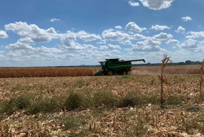 Falta de Chuvas no Rio Grande do Sul Preocupa Produtores Rurais