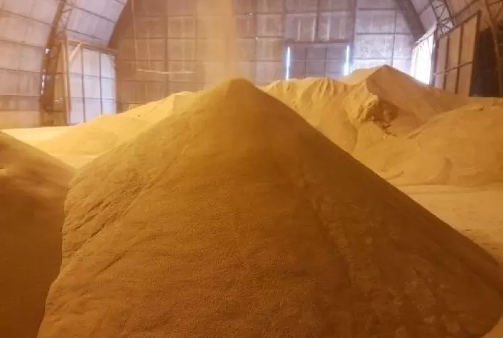 Preços do Farelo de Soja Despencam em Chicago Após Redução de Retenções na Argentina